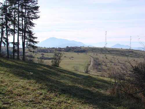 dealurile din apropiere